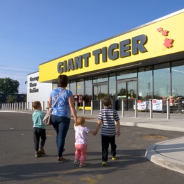Giant Tiger customer video