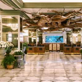 MGM Resorts International.