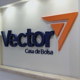 Vector