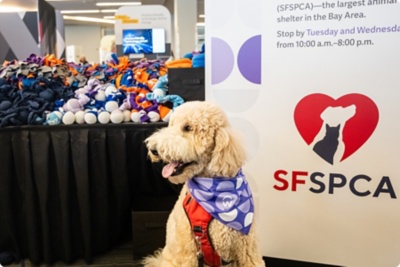 Dog standing in front of sign.