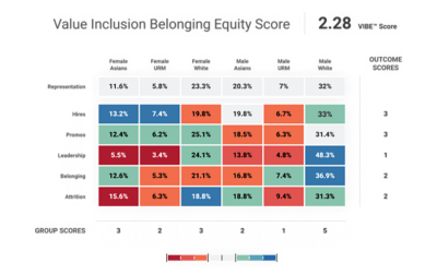 VIBE Index sulla diversity