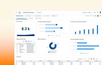 Dashboard für Absatzgebiete in Workday Adaptive Planning zur einfachen Account-Segmentierung und Erstellung ausgewogener und überschaubarer Absatzgebiete.