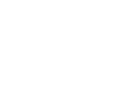 IDC logo white