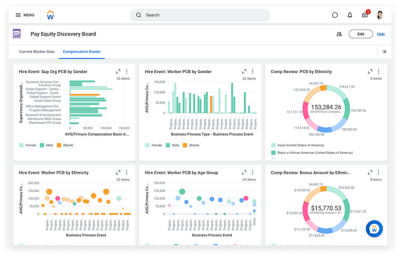 Desktop view of the Pay Equity Discover Board showing various data graphs.