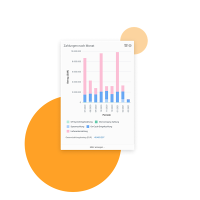 Audit-Dashboard mit Balkendiagramm der Zahlungen nach Monat