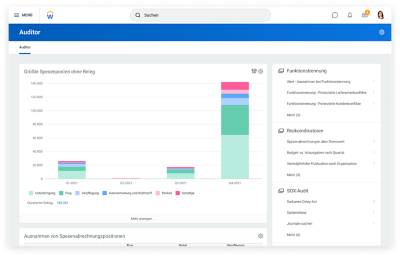 审计-仪表盘mit balkendiagram der größten speenposten ohne Beleg