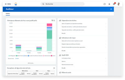 Tableau de bord d'auditeur présentant un histogramme des principaux éléments de frais sans justificatifs.