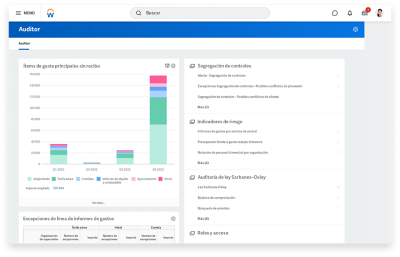 Tablero de mando de auditor que muestra gráfico de barras de conceptos de gastos principales sin recibo.
