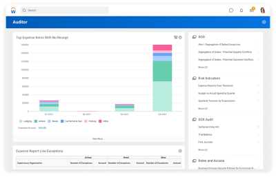 Auditor dashboard showing bar graph of top expense items with no receipt.