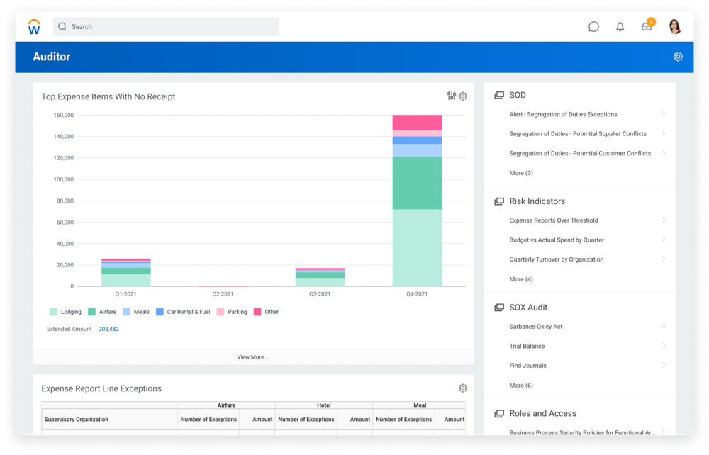 Accounting Audit and Internal Controls Software | Workday US