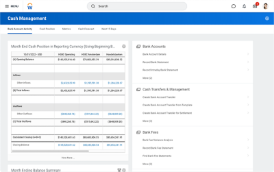 Cash management dashboard showing month-end cash position in reporting currency.
