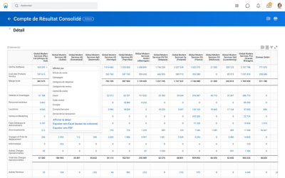 Compte de résultat consolidé dans un logiciel de clôture et consolidation.