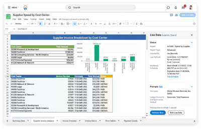 Desktop view of supplier spend by customer data exported into worksheets in Workday.