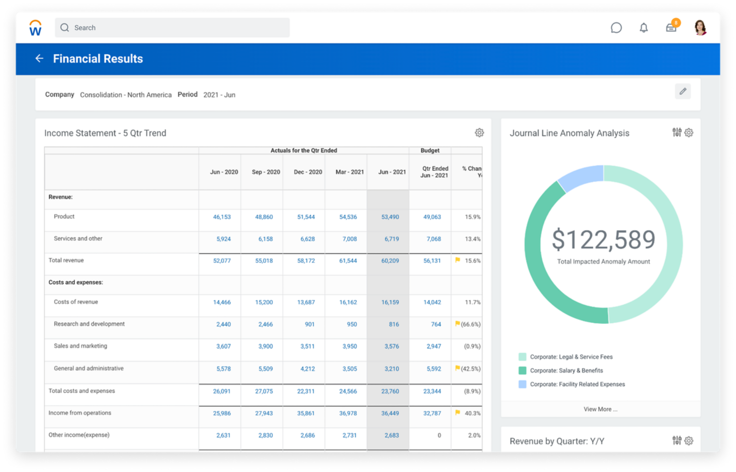 Financial accounting results dashboard showing income statement and quarterly expense analysis.