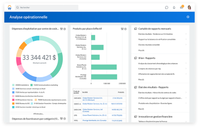 Operational analysis dashboard showing operating expenses by cost center and P&L by quarter.