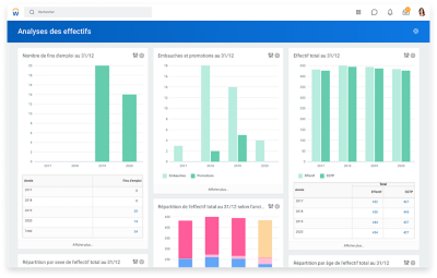 分析结果的图表présentant直方图的结果année由总局长官决定。