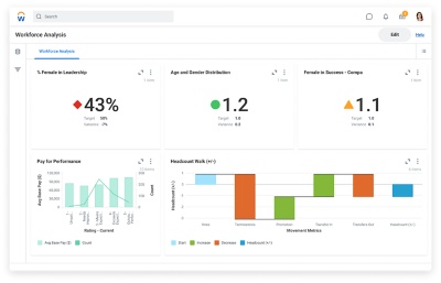 Ultimate Google Discover Analytics Insights Trends 2024   Screenshot Human Capital Management Core Reporting Workforce Analysis Desktop 11