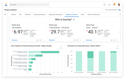 仪表盘“Workday People Analytics”符合多元化甚至包容性的趋势。