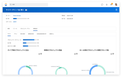 タイプ别，に対するプロジェクト收益ロールプロジェクト时间ブロック表示表示している财务财务サマリサマリ画面画面画面
