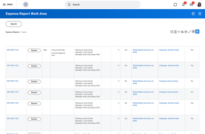 Screenshot of Expenses Hub displaying the Expenses Report Work Area on desktop