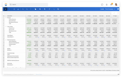 Tabelle mit funktionaler Gewinn- und Verlustrechnung在工作日适应性规划
