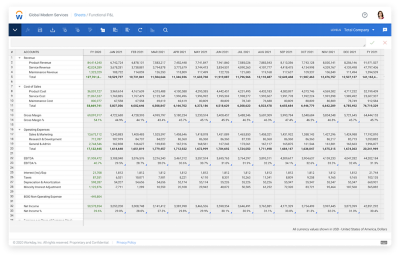 Workday Adaptive Planning Functional P&L sheet.