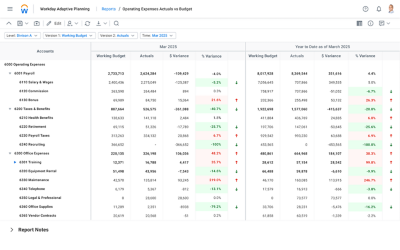 Screenshot of Workday Adaptive Planning dashboard showing Financial Variance Analysis.