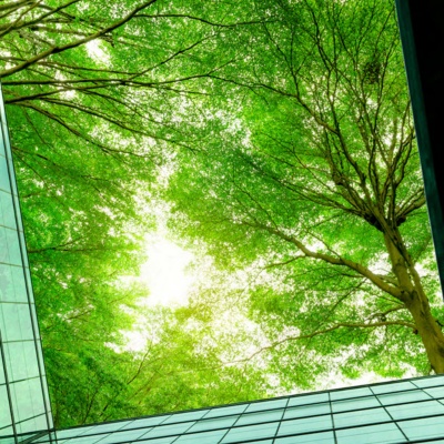 绿色的树顶的办公大楼与视图